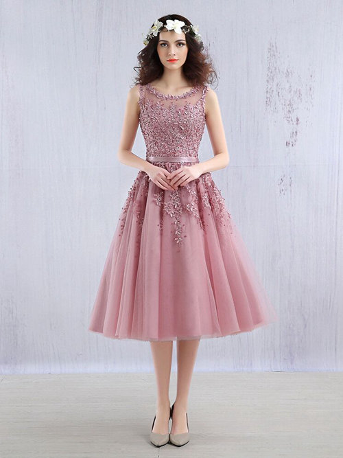 Princess Scoop Knee Length Tulle Matric Dress Applique