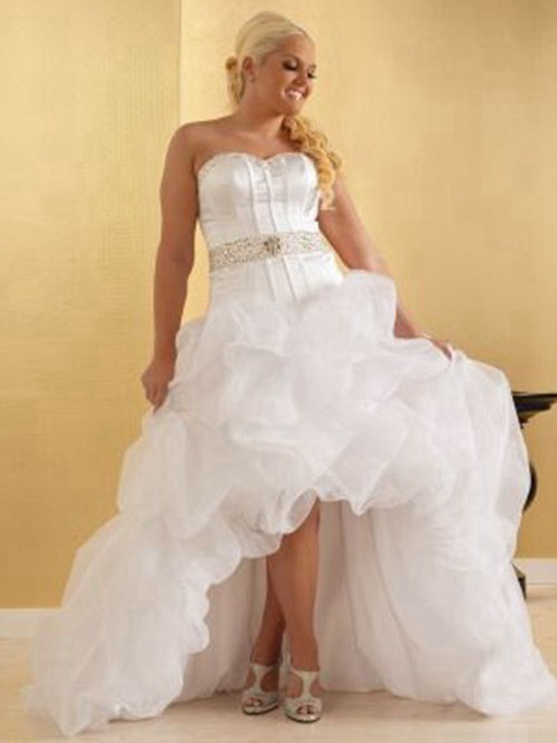 A-line Sweetheart High Low Organza Plus Size Wedding Dress