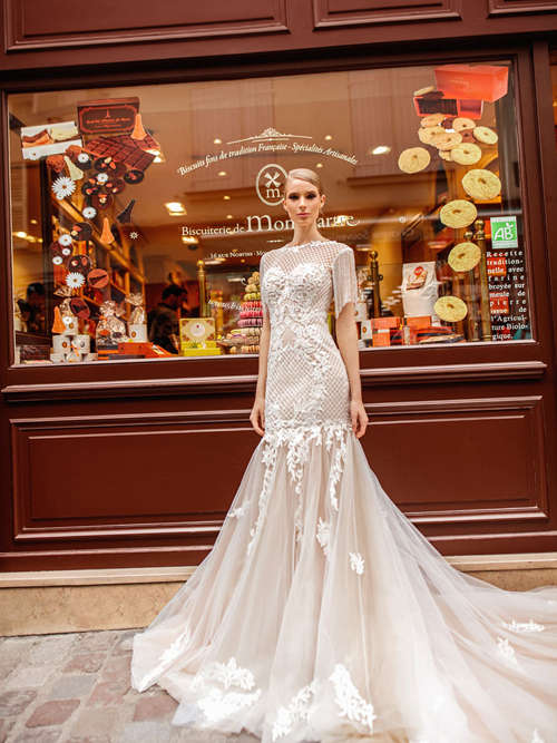 Mermaid Tulle Net Sleeves Wedding Dress Applique