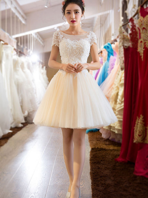 Princess Bateau Tulle Lace Short Wedding Dress