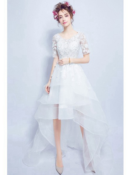 A-line V Neck High Low Organza Lace Sleeves Wedding Wear