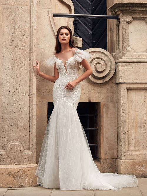 Mermaid Sheer Lace Tulle Wedding Gown