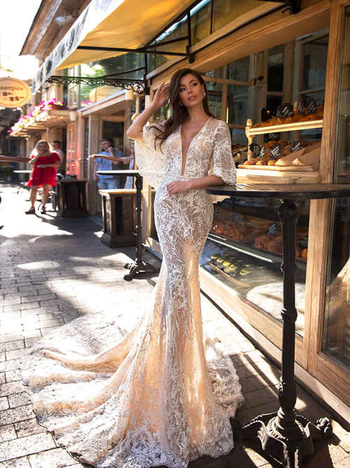 Mermaid V Neck Lace Sleeves Wedding Gown